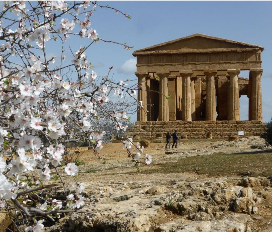 Kamome Rooms Agrigento Exteriér fotografie
